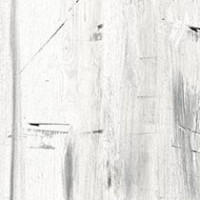 Lace Gesso Wood