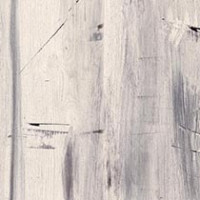Blonde Gesso Wood