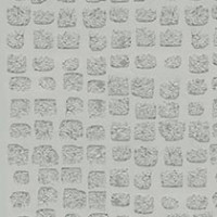 Bone Etched Cement