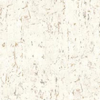 Mountain White Birch