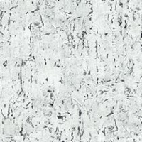 Bone Birch