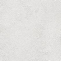 Platinum Shagreen