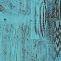Border Blue Pine