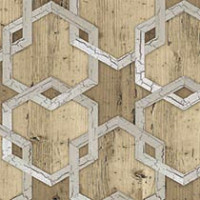 Sun Bleached Arabesque