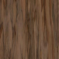 Fawn Eucalyptus