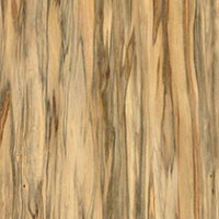 Raw Eucalyptus
