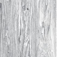 Polished Olive