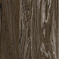 Mocha Olive