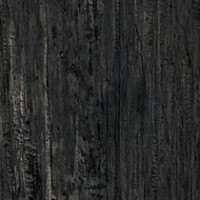 Yaki Oak