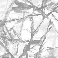 Diamond Ice