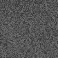 Swirling Fields