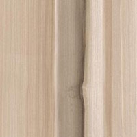 Natural Tulipwood