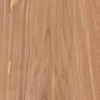 Cedar