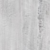 Silver Eucalyptus