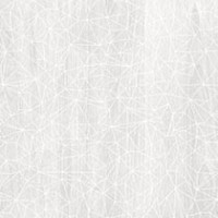 Snow Geo