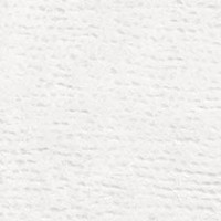 Textured Papyrus