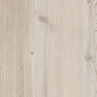Western White Pine
