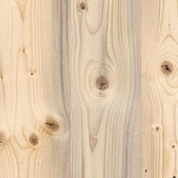 North Fork Pine