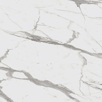 Calacatta Statuario - Pro Design Panel Sample