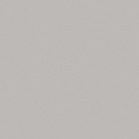 Fashion Grey