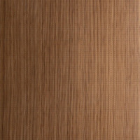 Acoustic Golden Oak