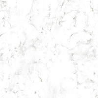 Roman Marble