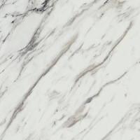 Sleek Calcutta Marble