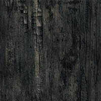 Yaki Oak