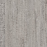 Silver Eucalyptus