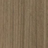 Sulawesi Hazel