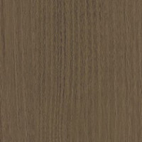 Winter Elm
