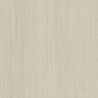 Champagne Whisper - Pro Plus Design Panel Sample