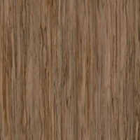 Fawn Eucalyptus