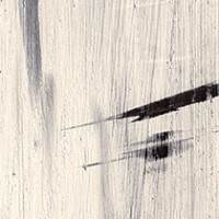 Blonde Gesso Wood