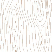 Coffee Bean Grain