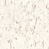 Mountain White Birch