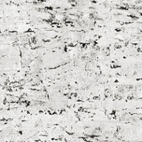 Bone Birch