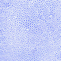Cobalt Shagreen