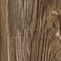 Lost Pine