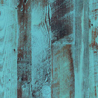 Border Blue Pine