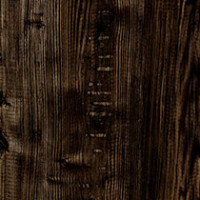 Scorched Chestnut