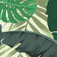 Lush Jungle
