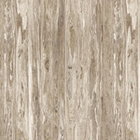 Sun Bleached Olive