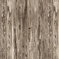 Weathered Olive