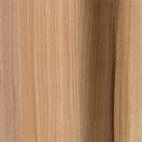 Brown Tulipwood