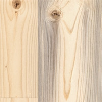 North Fork Pine