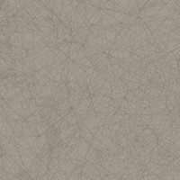 Constellation Grey