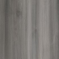 Beach Birch