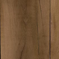 Texas Mesquite