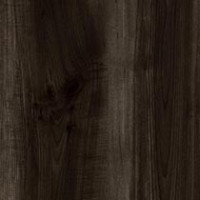 Charred Maple